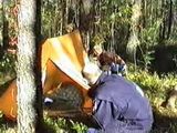 Sleeping Teen In Camp Tent All Alone In The Woods Attract Attention Of Two Drunk Hobos